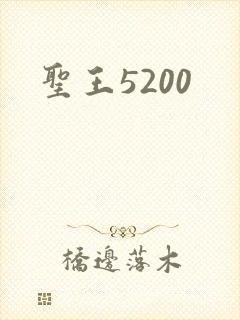 圣王5200