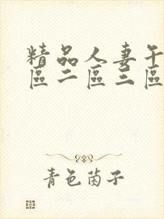 精品人妻午夜一区二区三区