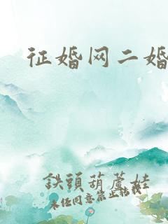 征婚网二婚