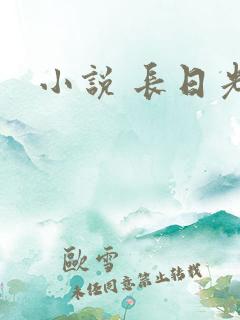 小说 长日光阴
