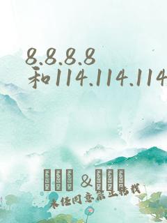 8.8.8.8和114.114.114.114