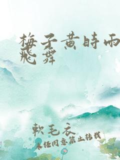 梅子黄时雨流光飞舞