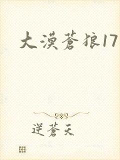 大漠苍狼17