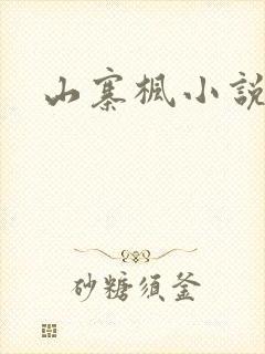 山寨枫小说网