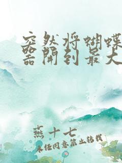 突然将蝴蝶遥控器开到最大