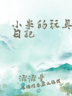 小米的玩具羞辱日记