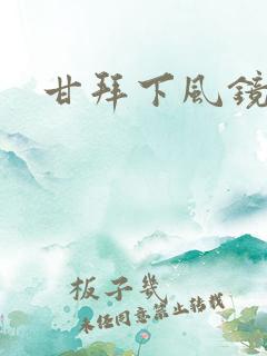 甘拜下风镜子