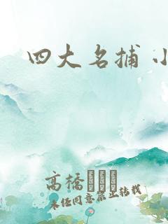 四大名捕 小说