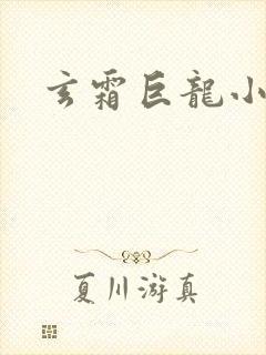 玄霜巨龙小说