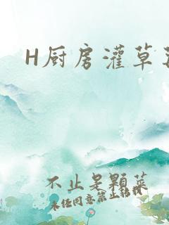 H厨房灌草莓