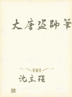 大唐盗帅笔趣阁