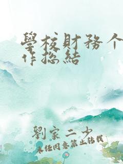 学校财务个人工作总结
