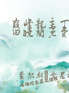 巅峰龙主丁长顺田晓兰免费阅读