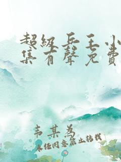 超级兵王小说全集有声免费听