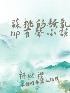 苏桃的骚乱文肉np有声小说