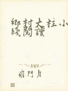 乡村大柱小说在线阅读