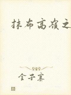 抹布高岭之花
