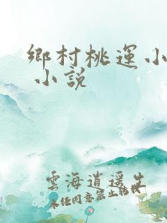 乡村桃运小神医 小说
