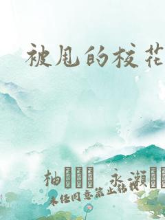 被甩的校花