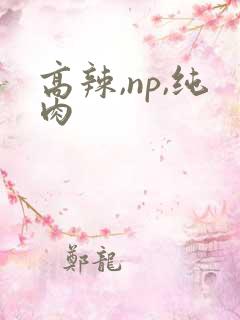高辣,np,纯肉