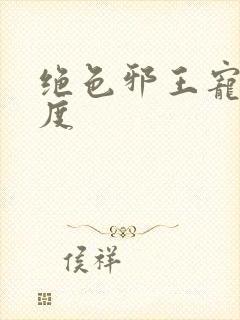 绝色邪王宠妻无度