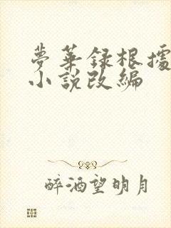梦华录根据什么小说改编
