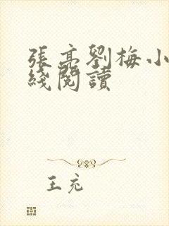 张亮刘梅小说在线阅读