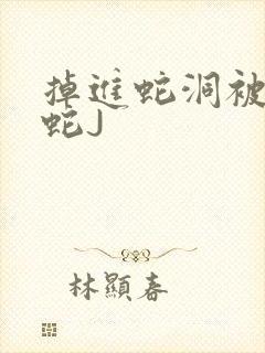 掉进蛇洞被一堆蛇J