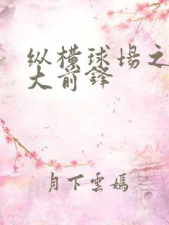 纵横球场之暴力大前锋