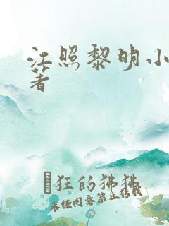 江照黎明小说原著