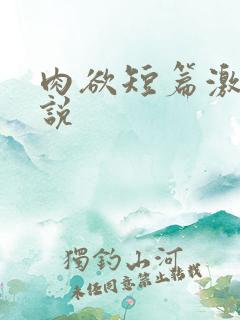 肉欲短篇激情小说