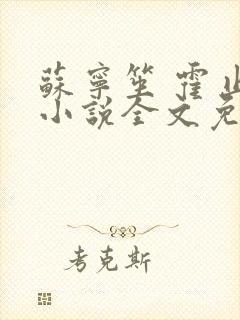苏宁笙 霍止行小说全文免费阅读