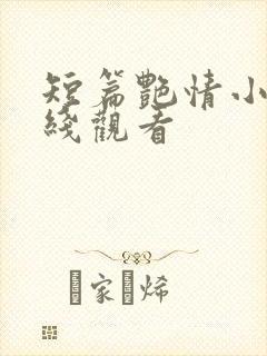短篇艳情小说在线观看