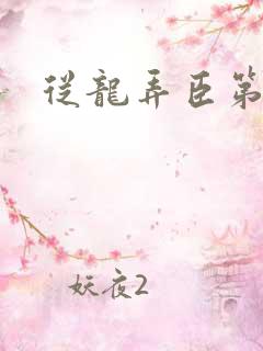 从龙弄臣第一次