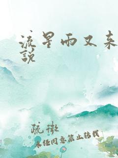 流星雨又来临小说