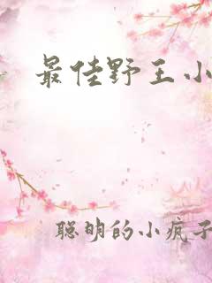 最佳野王小说