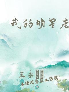 我的明星老豆