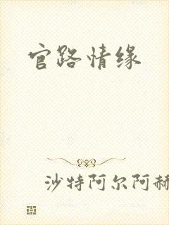 官路情缘