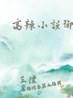 高辣小说御书屋