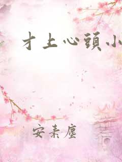 才上心头小说