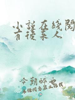 小说在线阅读还有后来人