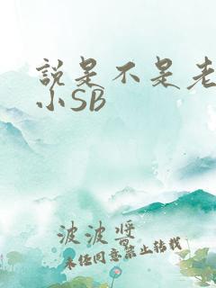 说是不是老公的小SB