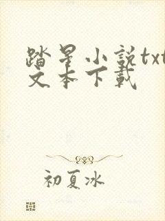 踏星小说txt文本下载