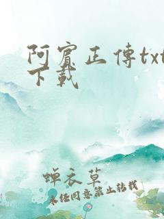 阿宾正传txt下载