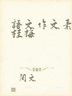 语文作文素材张桂梅