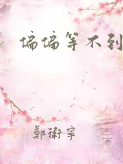 偏偏等不到小说