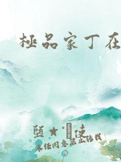 极品家丁在线