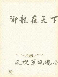 御龙在天下载