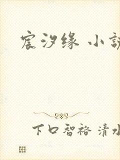 宸汐缘 小说