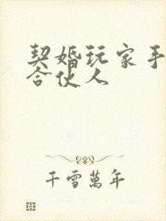 契婚玩家手册之合伙人